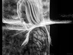 Surreal & Composing